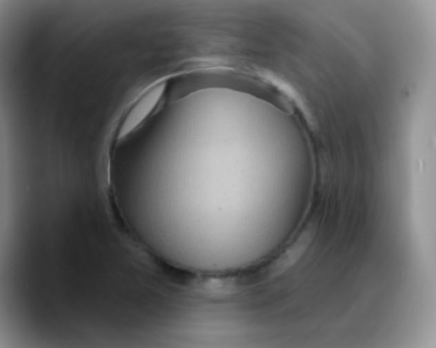 X0000089721365200707201812