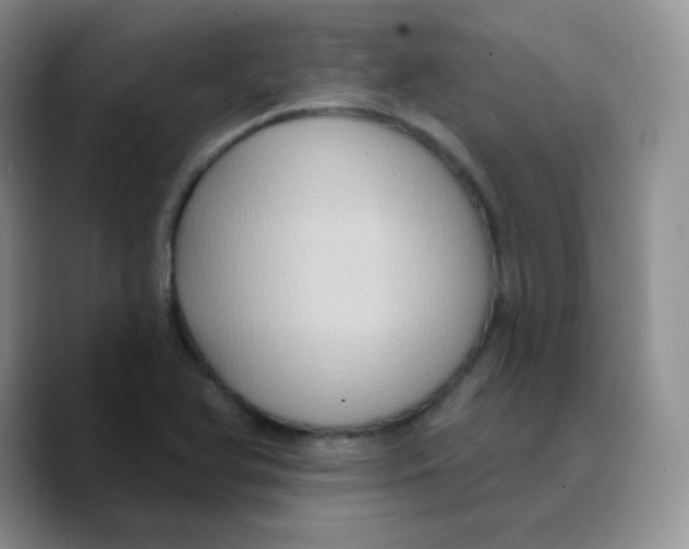 X0000089721366200707201812