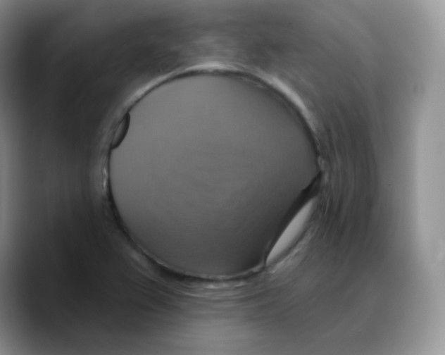 X0000089721367200707201812