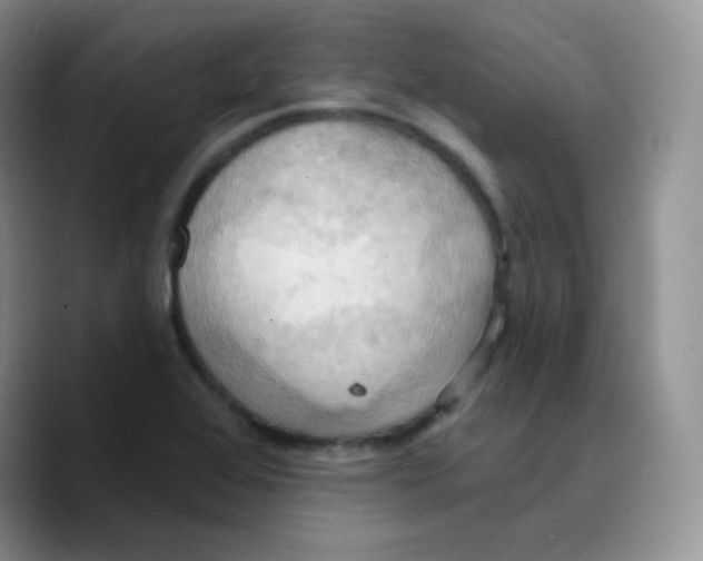 X0000089721368200707201812
