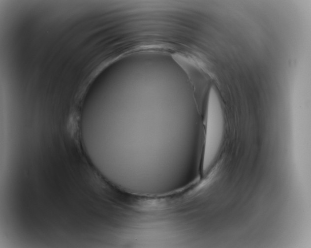 X0000089721369200707201812