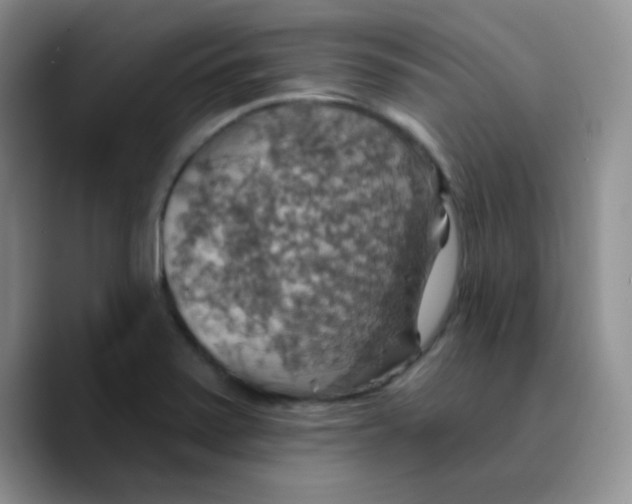 X0000089721371200707201812
