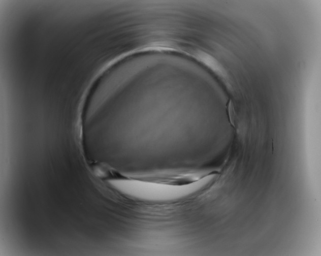 X0000089721372200707201812
