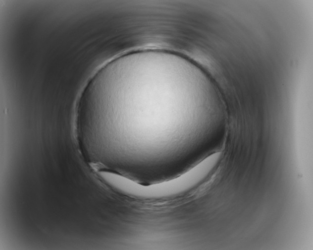 X0000089721374200707201812