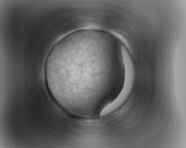 X0000089721375200707201812