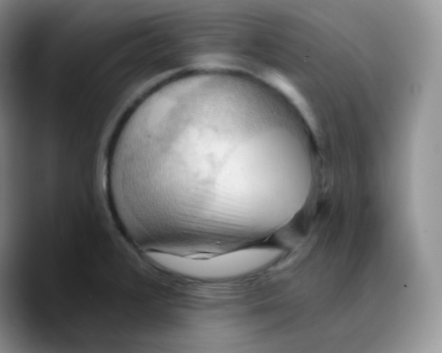 X0000089721376200707201812