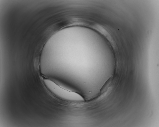 X0000089721377200707201812