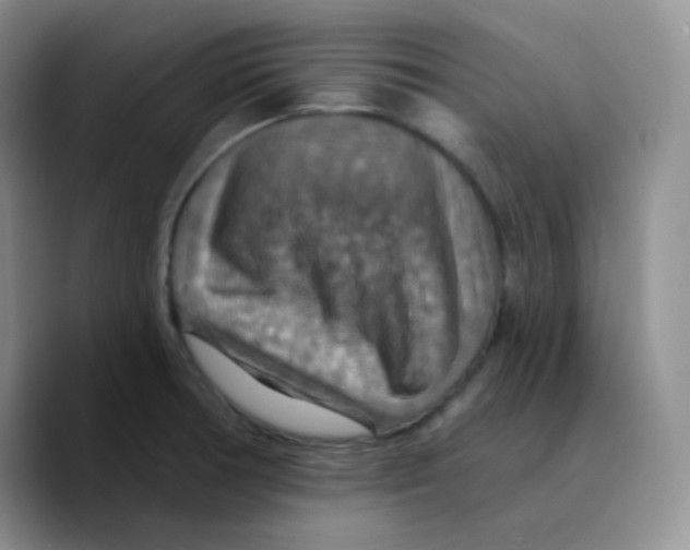 X0000089721378200707201812