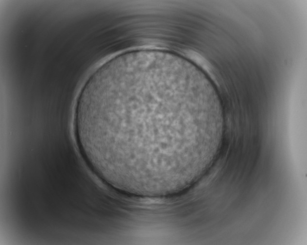X0000089721379200707201812