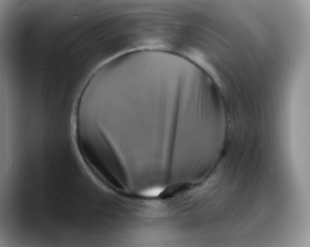 X0000089721383200707201812
