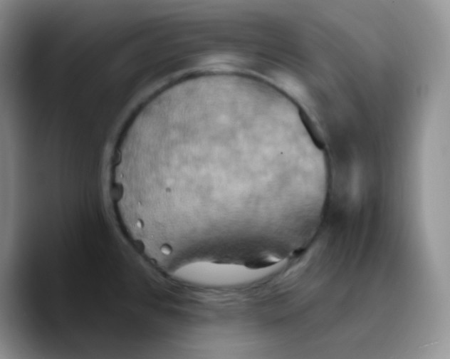 X0000089721384200707201812