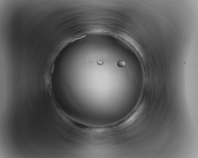 X0000089721385200707201812