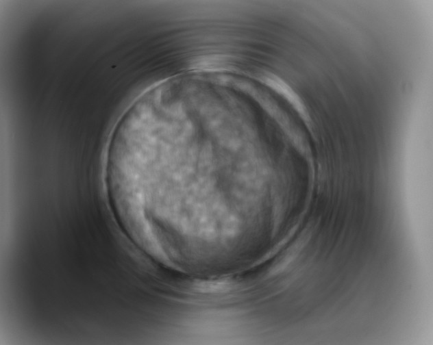 X0000089721386200707201812