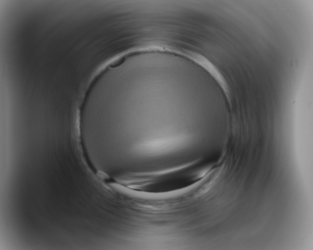 X0000089721388200707201812