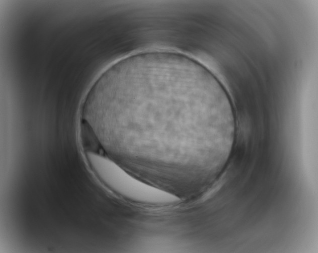 X0000089721390200707201812