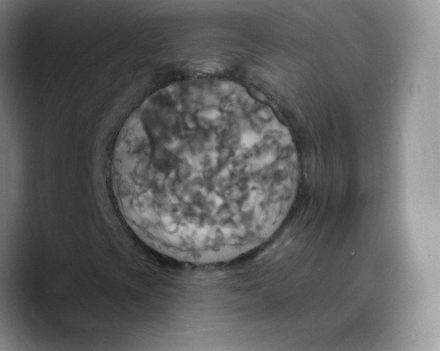 X0000089721393200707201811