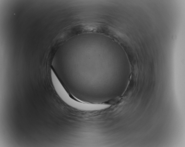 X0000089721394200707201811