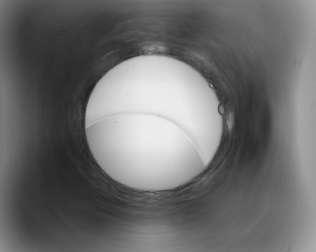 X0000089721396200707201811