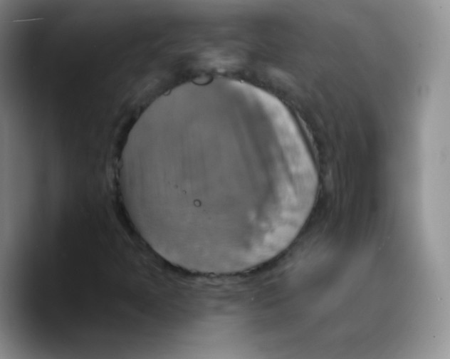 X0000089721397200707201811