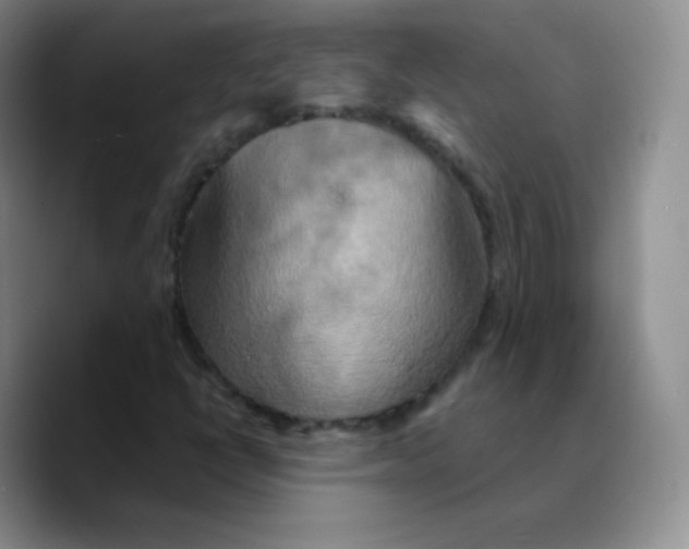 X0000089721398200707201811