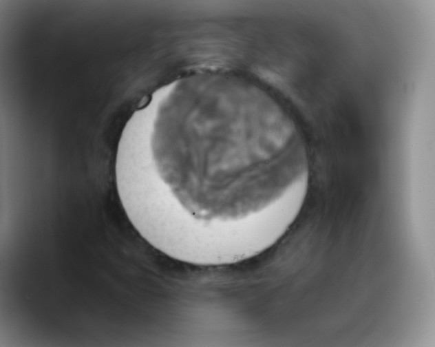 X0000089721399200707201811