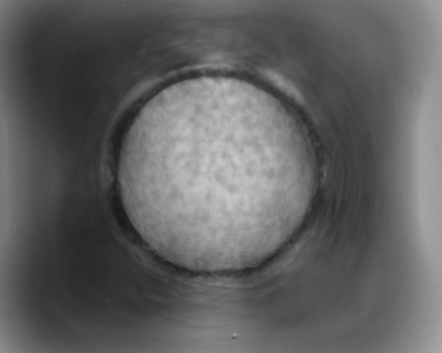 X0000089721400200707201811