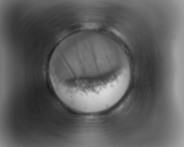 X0000089721401200707201811