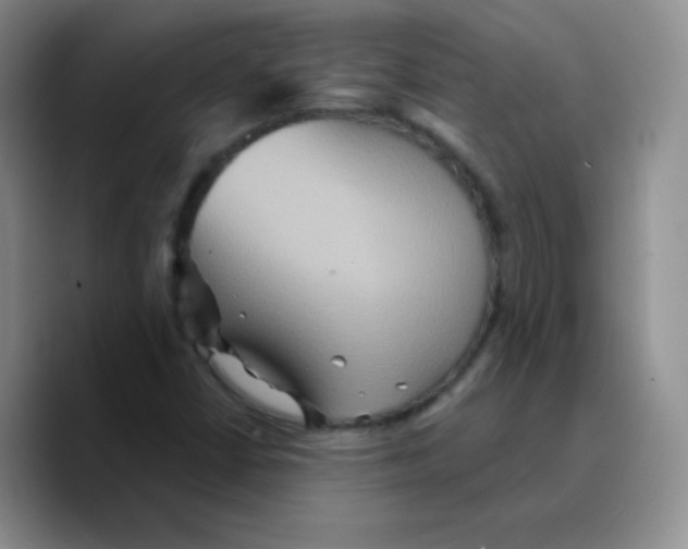 X0000089721402200707201811