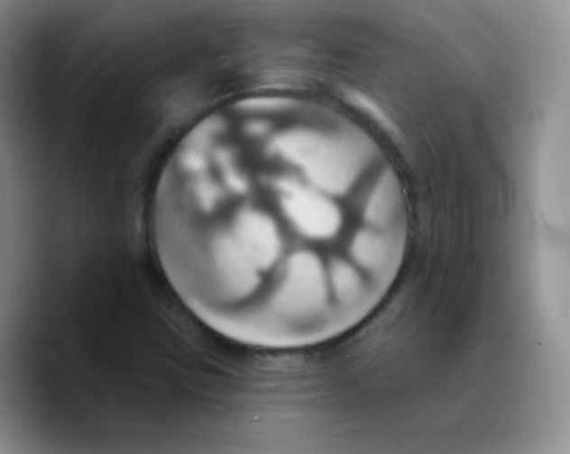 X0000089721403200707201811