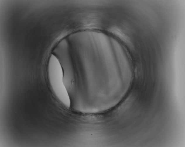X0000089721405200707201811