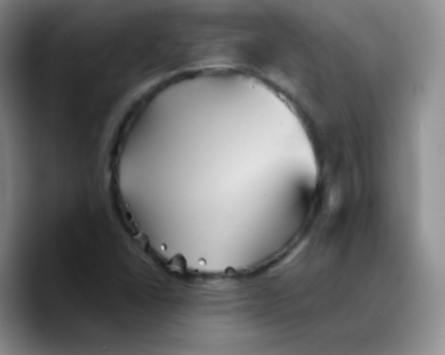 X0000089721406200707201811