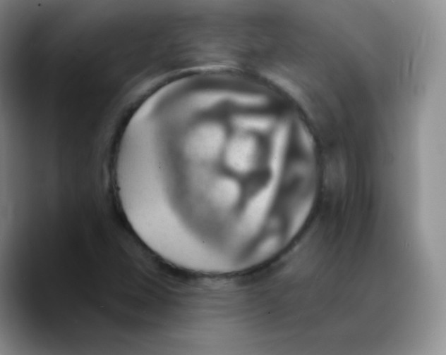 X0000089721407200707201811