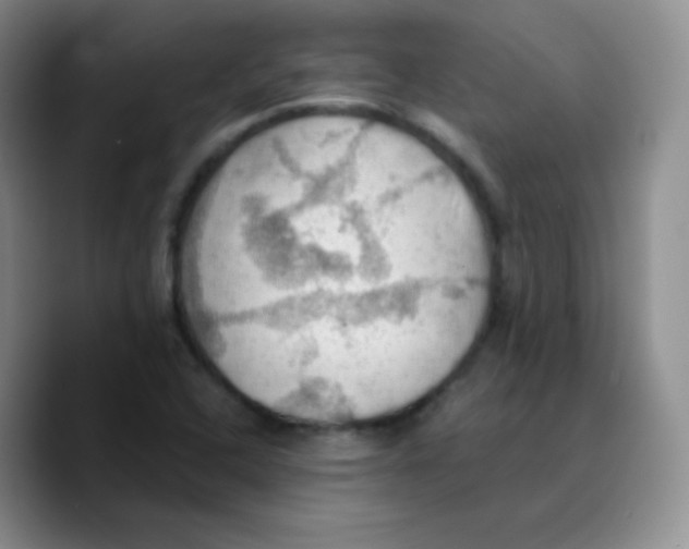 X0000089721408200707201811