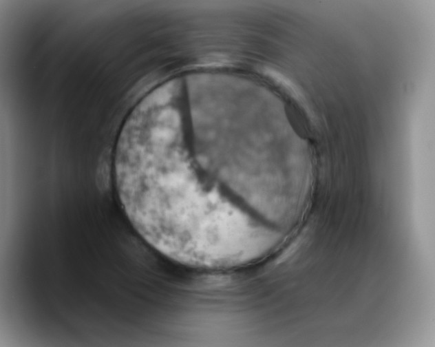 X0000089721409200707201811
