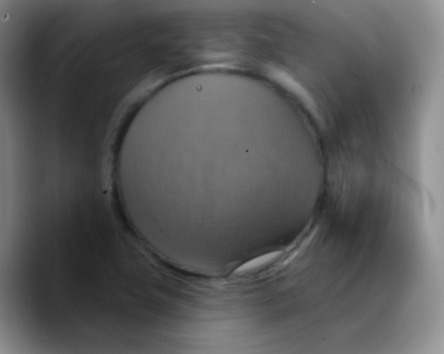X0000089721411200707201811