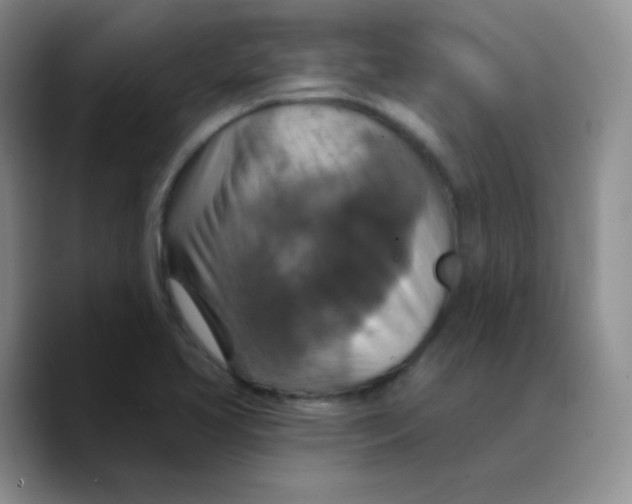 X0000089721413200707201811