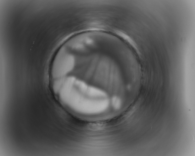X0000089721415200707201811
