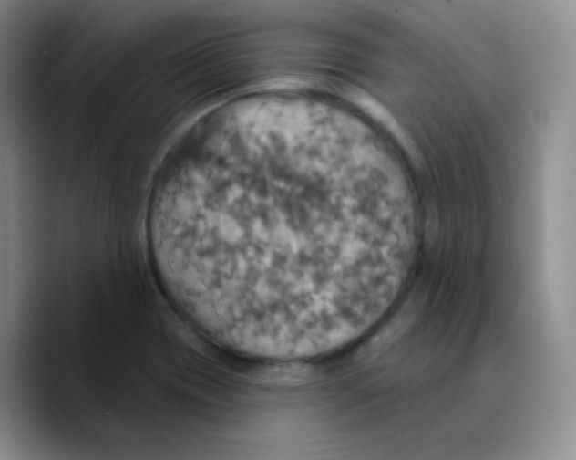 X0000089721417200707201811