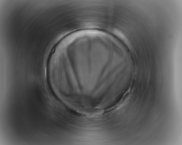 X0000089721419200707201811