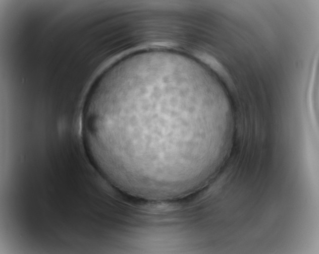 X0000089721420200707201811