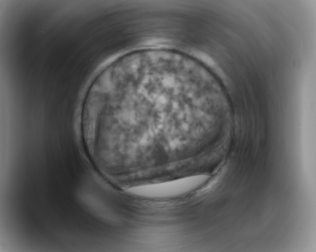 X0000089721421200707201811
