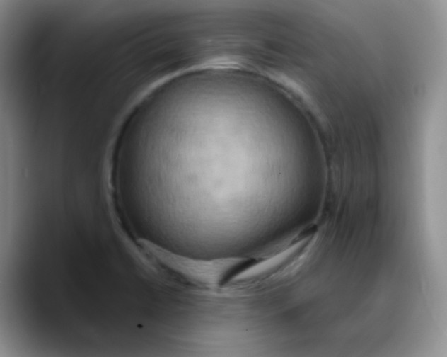X0000089721422200707201811