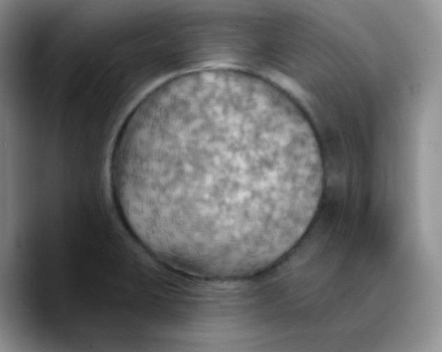 X0000089721423200707201811