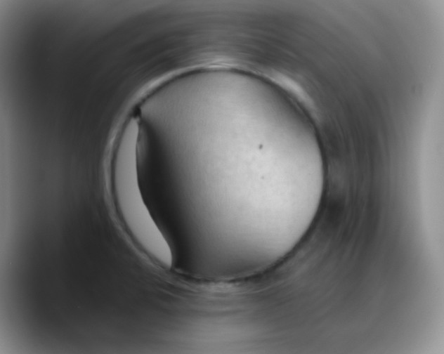 X0000089721424200707201811