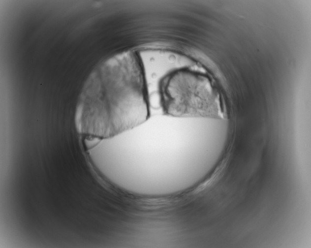 X0000089721425200707201812
