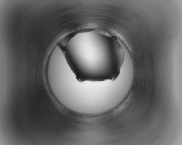 X0000089721426200707201812
