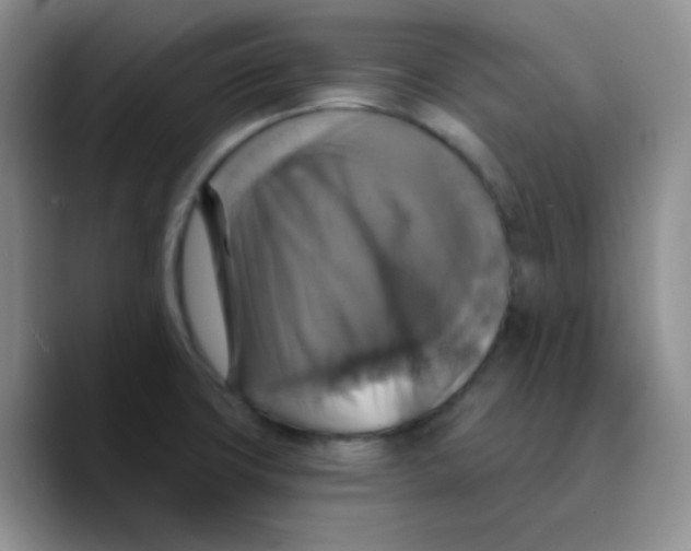 X0000089721427200707201812