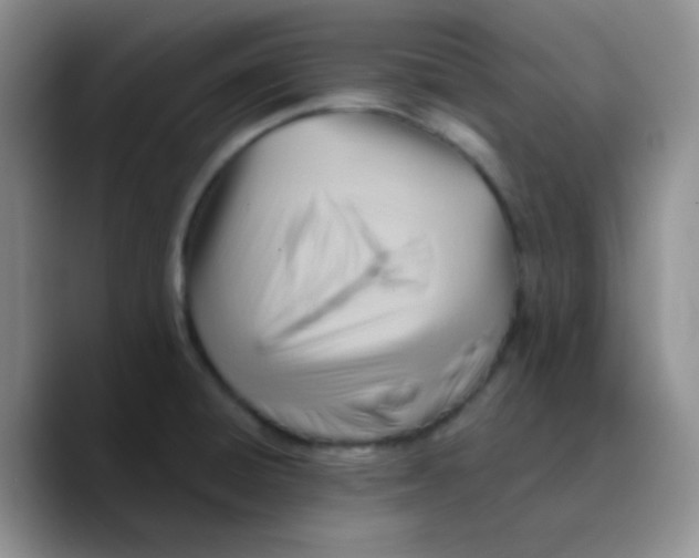 X0000089721428200707201812