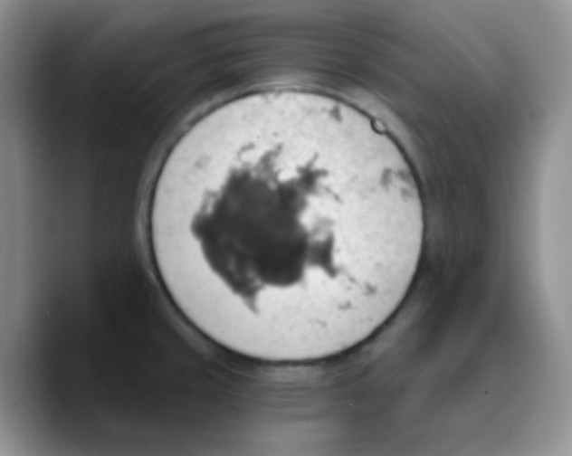 X0000089721429200707201812
