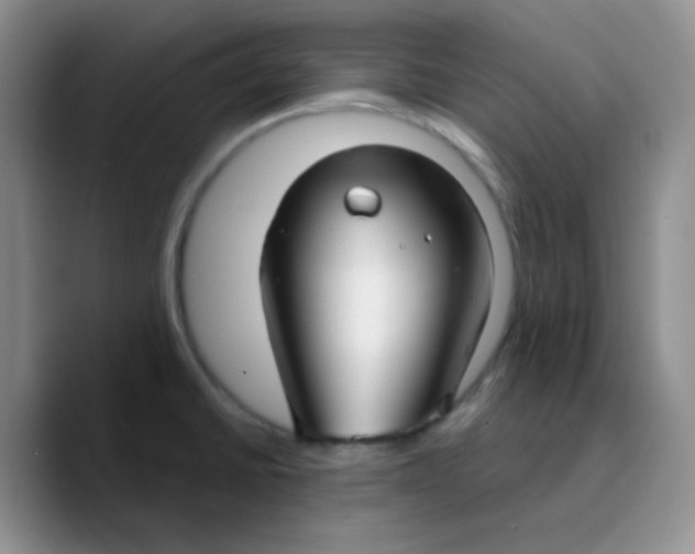 X0000089721430200707201812